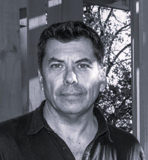 marcelo sarovic